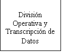 Cuadro de texto: Divisin Operativa y Transcripcin de Datos
