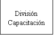 Cuadro de texto: Divisin Capacitacin
